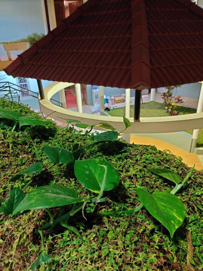 Nisarga Resort Kaglipur Εξωτερικό φωτογραφία